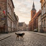 Pies przechodzi przez starą brukowaną ulicę Psiego Pola wśród historycznej zabudowy, ilustrując nieznaną historię miasta wchłoniętego przez metropolię.