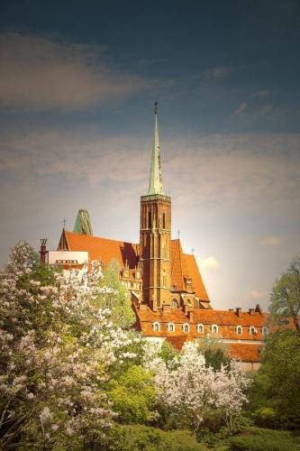 katedra-widok-wroclaw